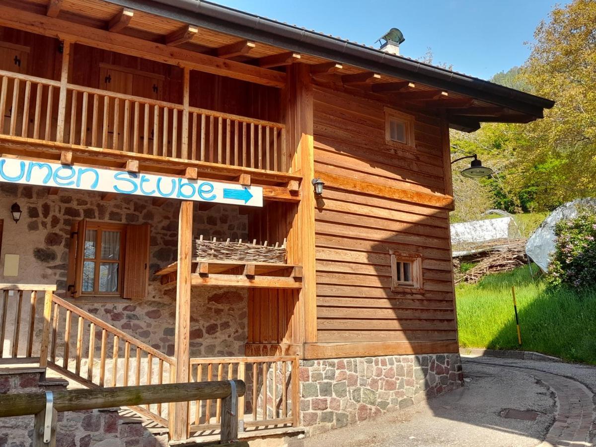 B&B Chalet Dolomiti Sant'Orsola Exterior foto