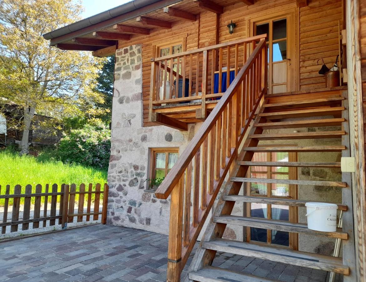 B&B Chalet Dolomiti Sant'Orsola Exterior foto